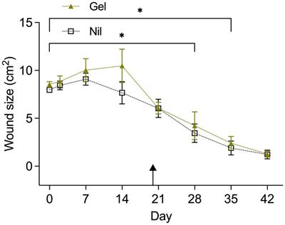 Wound healing of experimental equine skin wounds and concurrent microbiota in wound dressings following topical propylene glycol gel treatment